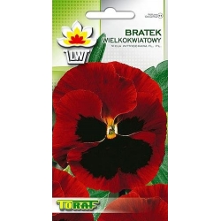 Nasiona Bratek wielkokwiatowy Tor287