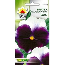 Nasiona Bratek wielkokwiatowy Lord  Tor294
