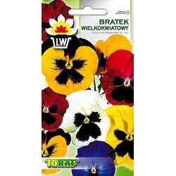 Nasiona Bratek wielkokwiatowy Tor288