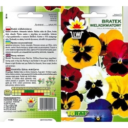 Nasiona Bratek wielkokwiatowy Tor288