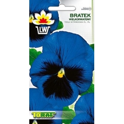 Nasiona Bratek wielkokwiatowy Tor289