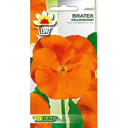 Nasiona Bratek wielkokwiatowy Tor290