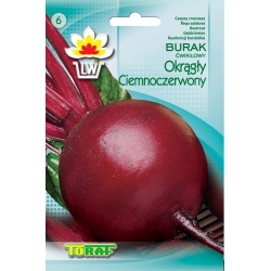 Nasiona Burak ćwikłowy Ciemnoczerwony Tor11