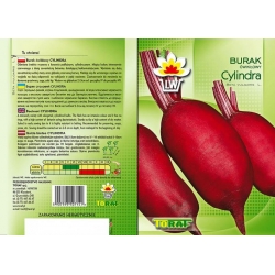 Nasiona Burak ćwikłowy podłużny Cylindra Tor15