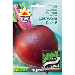 Nasiona Burak ćwikłowy Czerwona Kula NA TAŚMIE Tor508