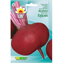 Nasiona Burak ćwikłowy Egipski Tor13