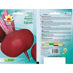 Nasiona Burak ćwikłowy Egipski Tor13