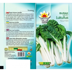 Nasiona Burak liściowy Lukullus zielony Tor16