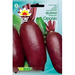 Nasiona Burak ćwikłowy podłużny Opolski Tor14