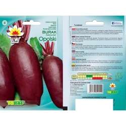 Nasiona Burak ćwikłowy podłużny Opolski Tor14
