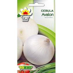 Nasiona Cebula Biała AVALON Tor18