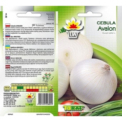 Nasiona Cebula Biała AVALON Tor18