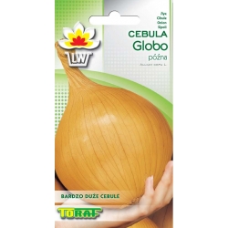 Nasiona Cebula GLOBO późna Tor20