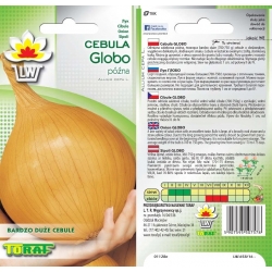 Nasiona Cebula GLOBO późna Tor20
