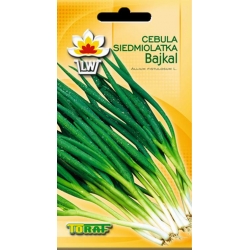 Nasiona Cebula Siedmiolatka Bajkal Tor22