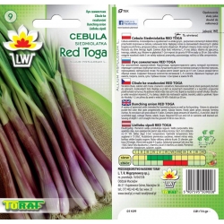 Nasiona Cebula Siedmiolatka RED TOGA Tor23