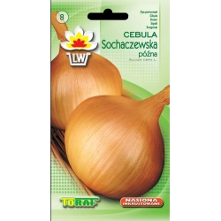Nasiona Cebula Sochaczewska późna Tor24