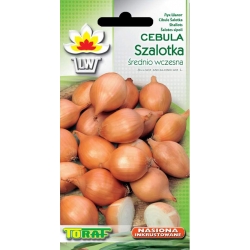 Nasiona Cebula Szalotka Ambition Tor26