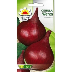 Nasiona Cebula Wenta czerwona Tor28