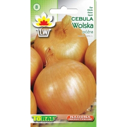 Nasiona Cebula Wolska późna Tor29
