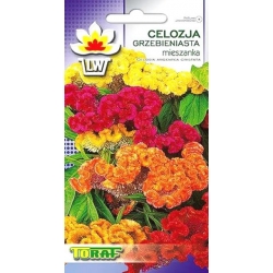 Nasiona Celozja grzebieniasta Tor297