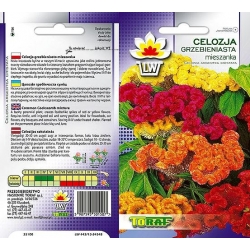 Nasiona Celozja grzebieniasta Tor297