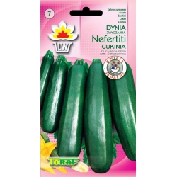 Nasiona Cukinia Black Beauty Tor32