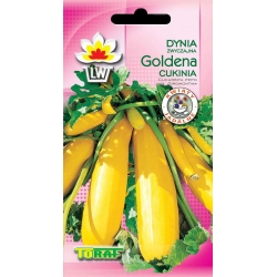 Nasiona Cukinia Goldena Tor34