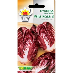 Nasiona Cykoria sałatowa Palla Rosa Tor35