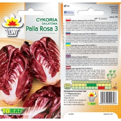 Nasiona Cykoria sałatowa Palla Rosa Tor35