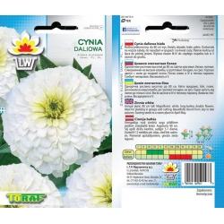 Nasiona Cynia daliowa Tor301