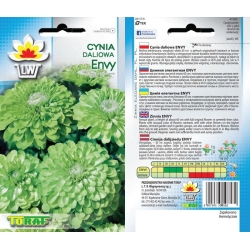 Nasiona Cynia daliowa Envy Tor309