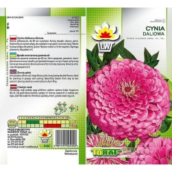 Nasiona Cynia daliowa Tor307