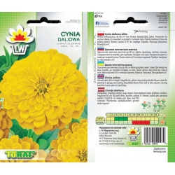 Nasiona Cynia daliowa Tor308