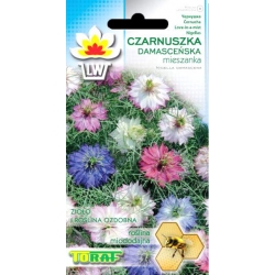  Nasiona Czarnuszka Damasceńska Tor311