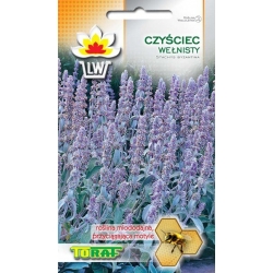 Nasiona Czyściec wełnisty Tor312