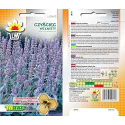 Nasiona Czyściec wełnisty Tor312