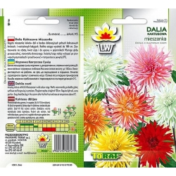 Nasiona Dalia Kaktusowa mix Tor316