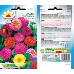 Nasiona Dalia Zmienna Pomponowa Tor315