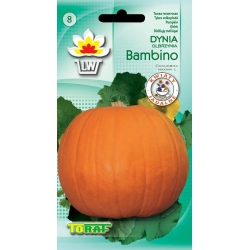 Nasiona Dynia olbrzymia BAMBINO Tor37