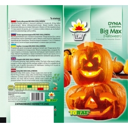 Nasiona Dynia olbrzymia Big Max Tor36