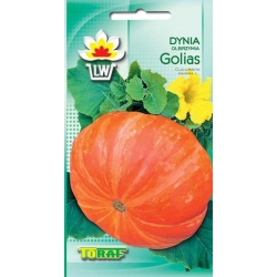 Nasiona Dynia olbrzymia Golias Tor38