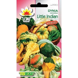 Nasiona Dynia ozdobna Little Indian Tor319