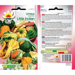 Nasiona Dynia ozdobna Little Indian Tor319