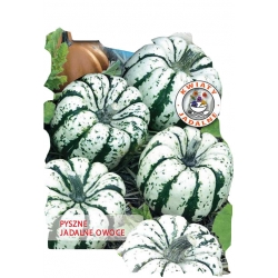 Nasiona Dynia ozdobna Sweet Dumpling Tor320