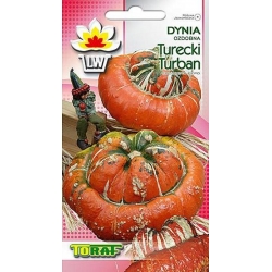 Nasiona Dynia ozdobna Turecki Turban Tor318