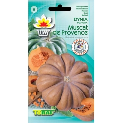 Nasiona Dynia piżmowa Muscat Provence Tor42