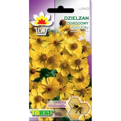 Nasiona Dzielżan złotożółty-roślina miododajna Tor321