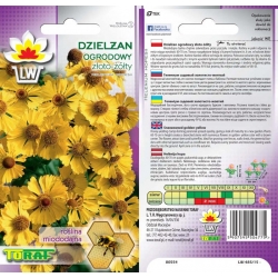 Nasiona Dzielżan złotożółty-roślina miododajna Tor321