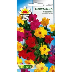 Nasiona Dziwaczek Tor323